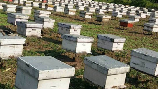 फाइल फोटो