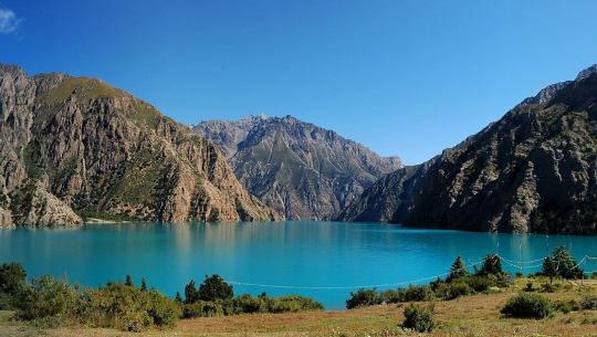 शे–फोक्सुण्डो संरक्षणमा सहकार्य बढ्दै