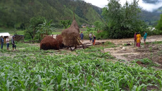 बुडर–जोरायल सडकको माटो किसानको बारीमा
