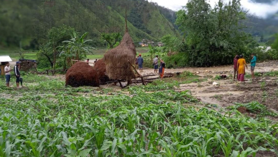 Raw material and debris from road construction site enter farmlands due to floods in Jorayal