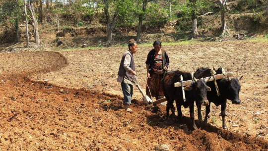 फाईल फोटो