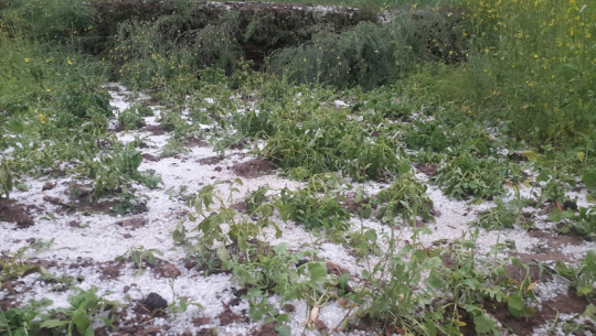 फाईल फोटो 