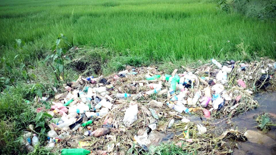 फाइल फोटो