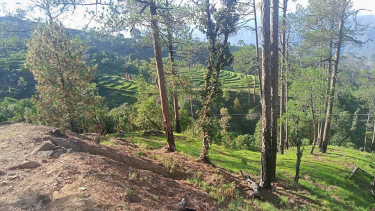 डडेल्धुराको मेल्टा गाउँका बालबालिकाका दुःख, २ घण्टा जंगलको बाटो हिँडेर विद्यालय
