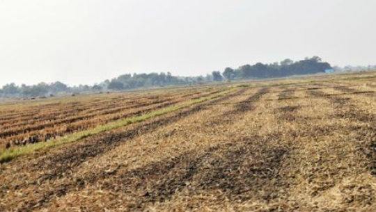 फाइल फोटो