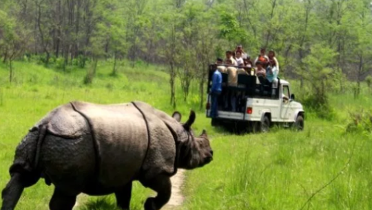 निकुञ्ज घुम्ने पर्यटकको सङ्ख्या उल्लेख्य