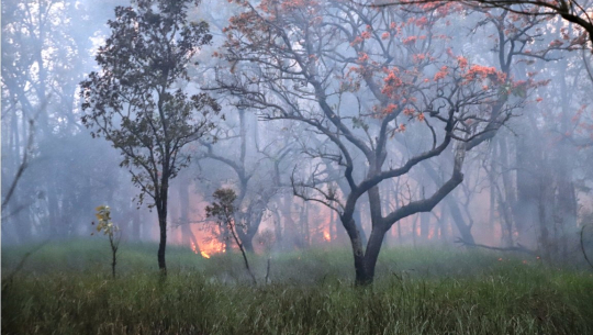 डढेलो लाग्न नदिन उच्च सतर्कता