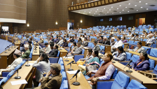 भन्सार विधेयक बहुमतले पारित