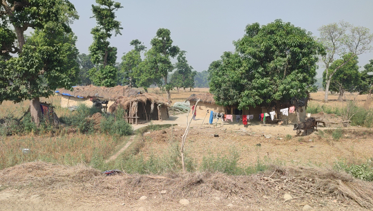 चौबीस वर्षदेखि न्यायको पखाईमा शुक्लाफाँटा आरक्ष विस्थापित 