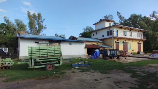 कैलालीमा बीउ उत्पादन गर्दै सहकारी