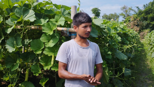 मौसमी सागसब्जी बेचेर मासिक दुई लाख आर्जन नारायण जोशी