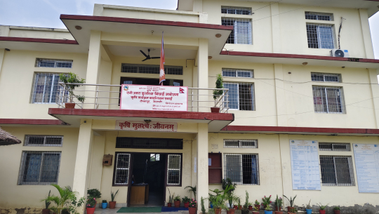 रानी जमराको कृषिकार्यक्षेत्र सात स्थानीय तहमा विस्तार
