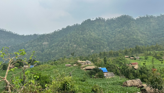 भौतिक विकासको पर्खाइमा डडेलधुराको पलगडी गाउँ