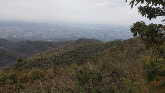 सुदूरपश्चिममा राष्ट्रपति चुरे कार्यक्रम नदी कटान नियन्त्रण र वृक्षारोपणमा केन्द्रित