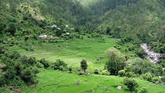 गड्सेरा, तस्वीर :  खेम बोहरा