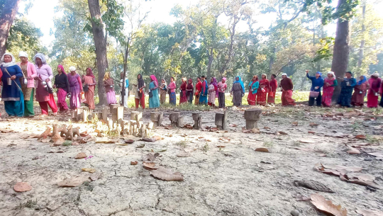 तराईमा हर्षोल्लासपूर्वक मनाइयो होली