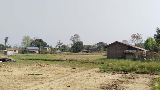 तस्बिरः चाँदनी आचार्य