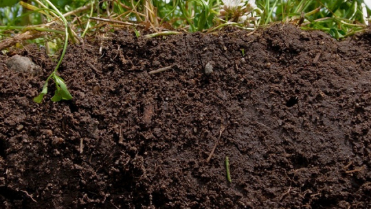 प्रदेश नम्वर ७ को उर्वभुमिमा प्रागांरिक पदार्थ रित्तिदै