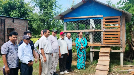 कञ्चनपुरमा बाख्रापालनका लागि साझेदारीमा व्यवस्थित खोर निर्माण