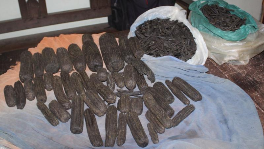 सुदूरपश्चिम प्रदेशमा लागुऔषध प्रयोगकर्ता पक्राउ पर्छन, कारोबारीलाई उन्मुक्ति