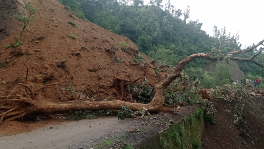 फाइल फोटो 