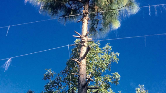 फाइल फोटो