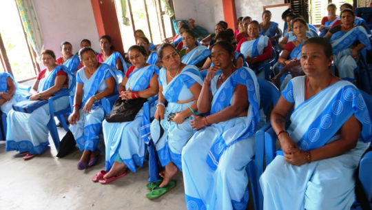 आज महिला स्वास्थ्य स्वयंसेविका दिवस मनाइँदै