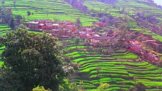 फाईल फोटो 