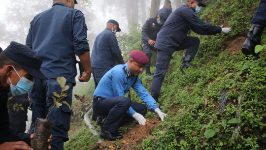 प्रहरी दिवसका अवसरमा बैतडीमा वृक्षरोपण र मास्क वितरण