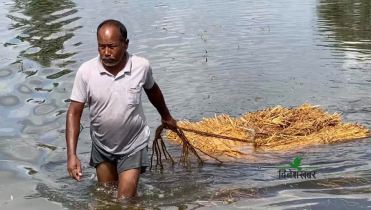 सुदूरपश्चिमका बाढीपीडित किसानले ३ महिनासम्म पनि पाएनन् राहत