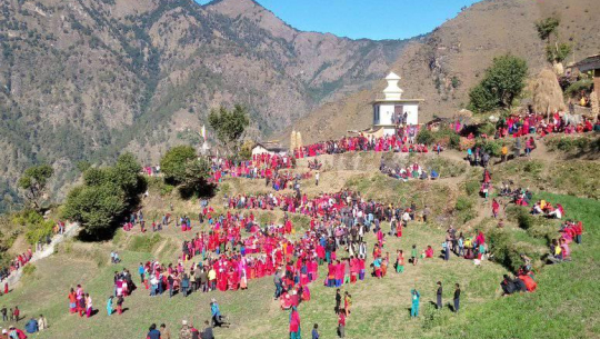 बैतडीको सिगासमा भुवाको रौनक !