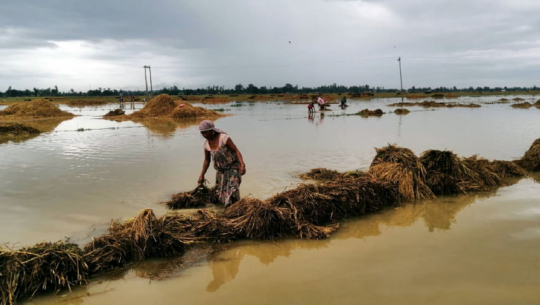 ६ महिनासम्म पाएनन् कैलालीका किसानले राहत, बैंकमै थन्कियो २१ करोड