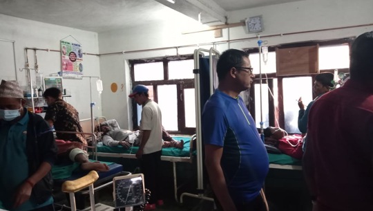 बाजुरामा काफल खान गएका ७ बालक रुख ढल्दा घाइते 