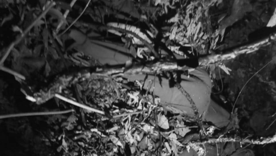 ‘यौन प्रस्ताव नमान्दा सरस्वतीमाथि ढुङ्गा प्रहार, घर भाग्दा इशराको हत्या’