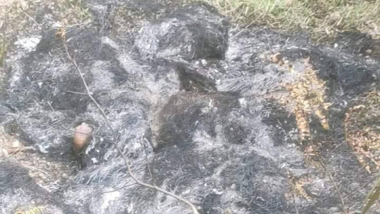 Body of woman found burnt in Darchula