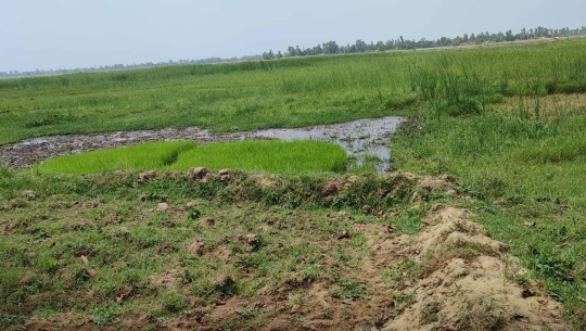 फाइल तस्बिर