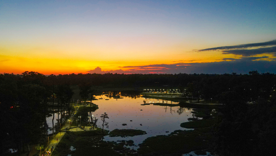 फोटो: रवि बम