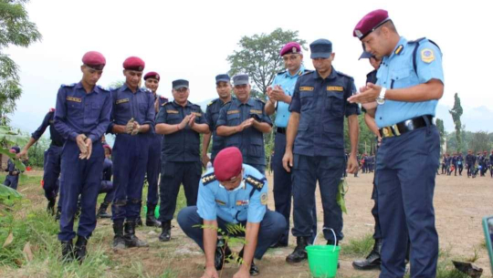 सुदूरपश्चिम प्रदेश प्रहरी तालिम केन्द्रमा वृक्षारोपण