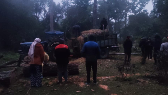 कैलालीमा तस्करसँग डराउँछन वनका कर्मचारी 