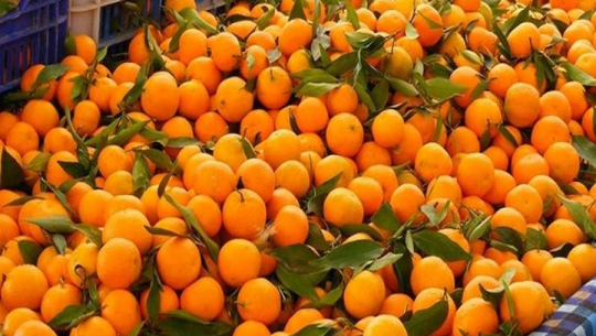 फाइल फोटो 