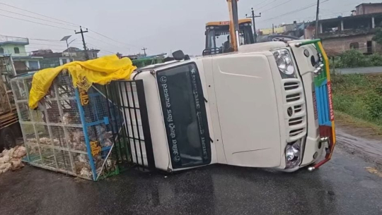  पहलमानपुरमा कुखुरा बोकेको बलेरो गाडीको ठक्करबाट साइकलयात्री गम्भीर घाइते, चालक पक्राउ