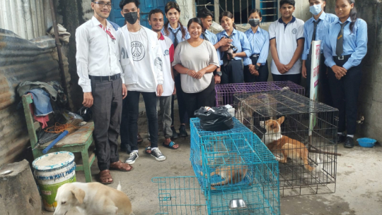 Drug support to Street Paws by Axis Youth Red Cross