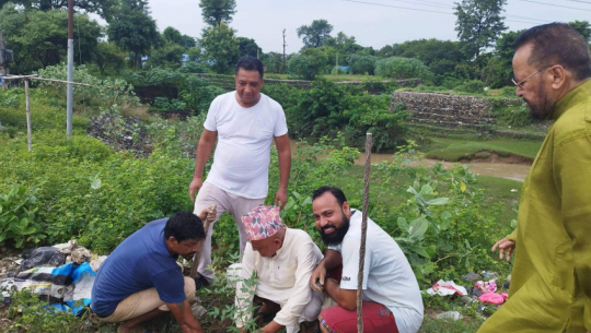Plantation in Pashupati neighbourhood of Dhangadhi