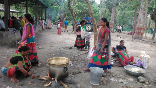 कैलाली कञ्चनपुरमा देउसी–भैलोबाट उठेको रकमले वनभोज खान जाने क्रम सुरु
