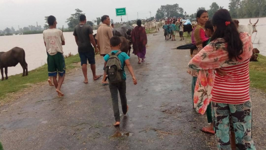 Floods in Bhajani of Kailali, more than 200 houses submerged