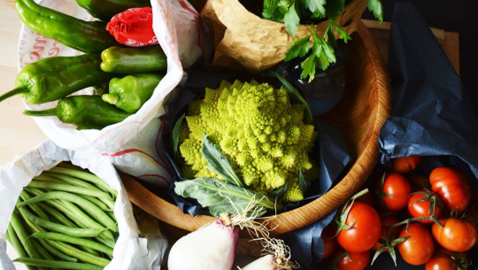 फाइल फोटो