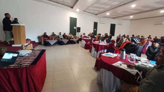 Policy dialogue highlights need to strengthen quality of basic education