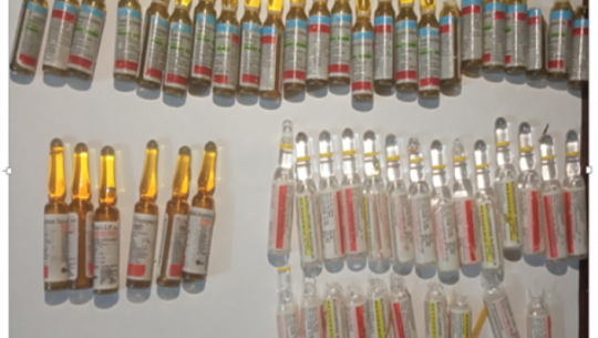 6 youths arrested with drugs from Kailali and Kanchanpur