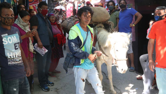 सौका समुदाय ‘कुञ्चा’ सर्न थाले