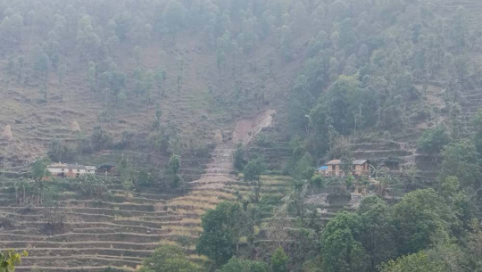दार्चुला र बैतडीमा भूक्षय नियन्त्रण तथा पानी स्रोत संरक्षणमा १५४ योजना कार्यान्वयन